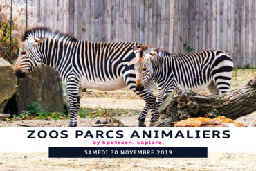2019, zoo, anvers, belgique